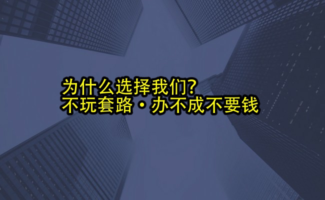 公司优势