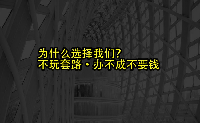 公司优势