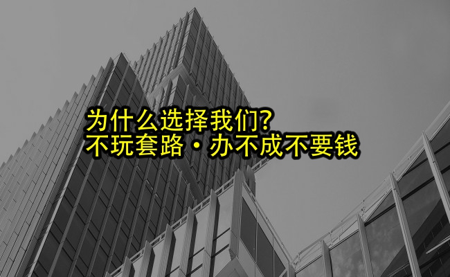 公司优势