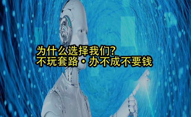 公司优势