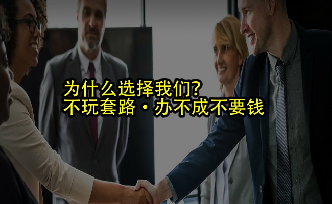 公司优势