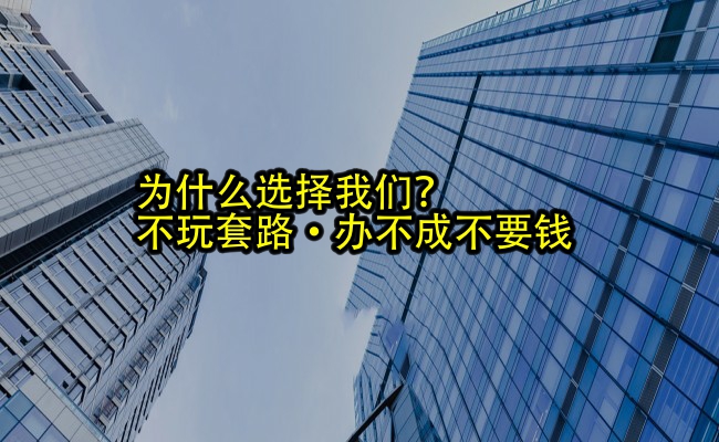 公司优势