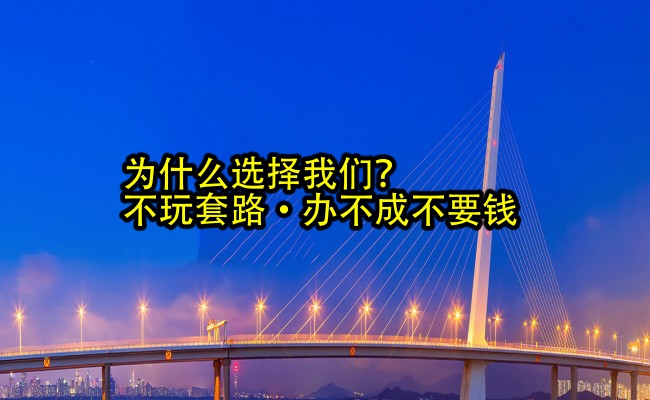 公司优势